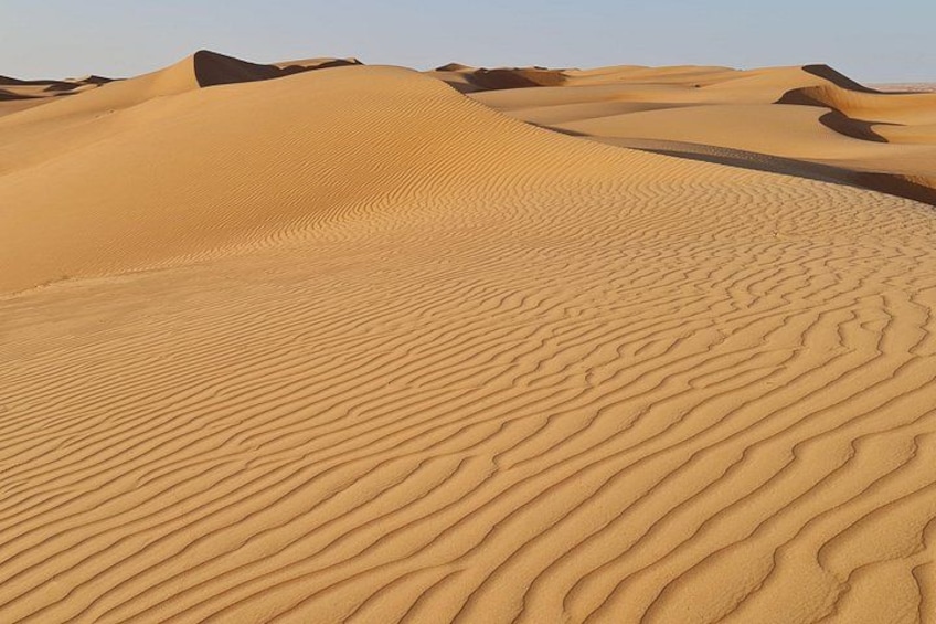 Wahiba Sand Desert 3