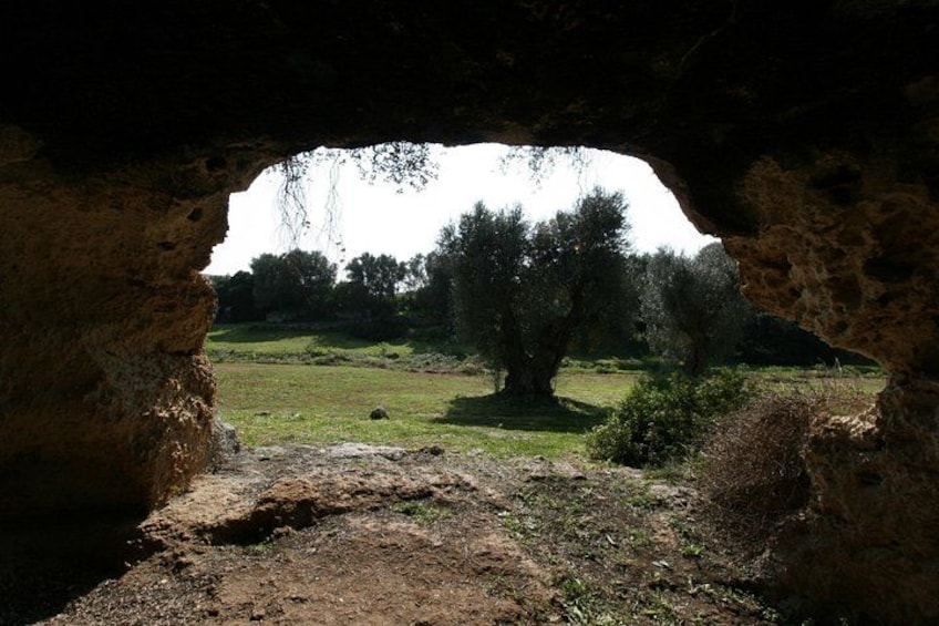 Guided tour of Parco Lama D'Antico-Grotta di S. Lorenzo in Fasano 2
