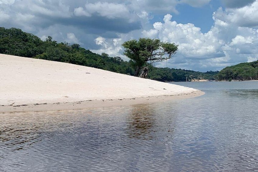 Une plage de sable fin aux eaux calmes, un arbre isolé et, au loin, une colline boisée. 5