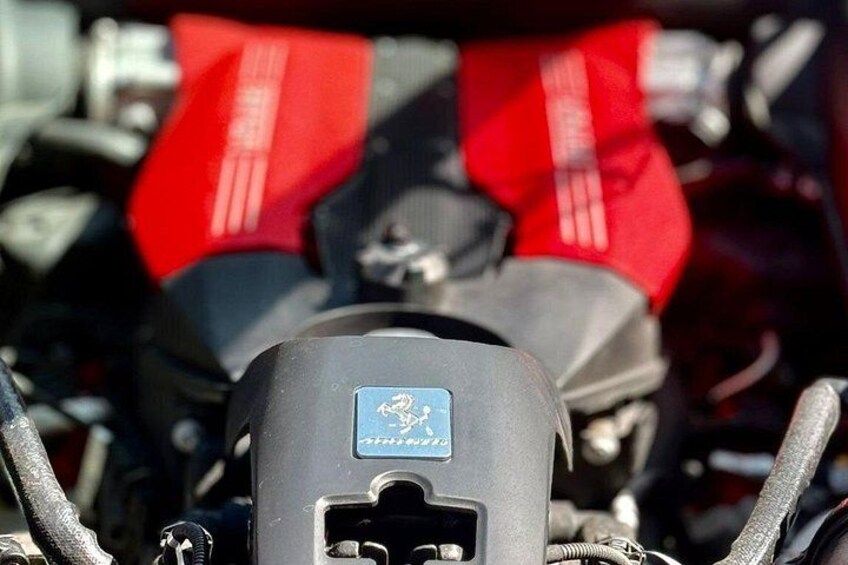 Een motor met een rode zitting en een blauw embleem. 2