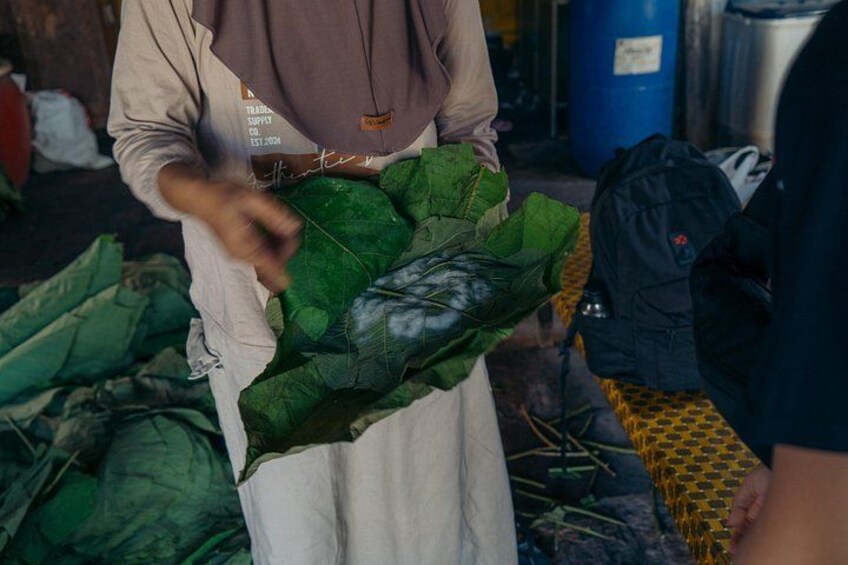 A person holding a bundle of green leaves, possibly for packaging or sale. 4
