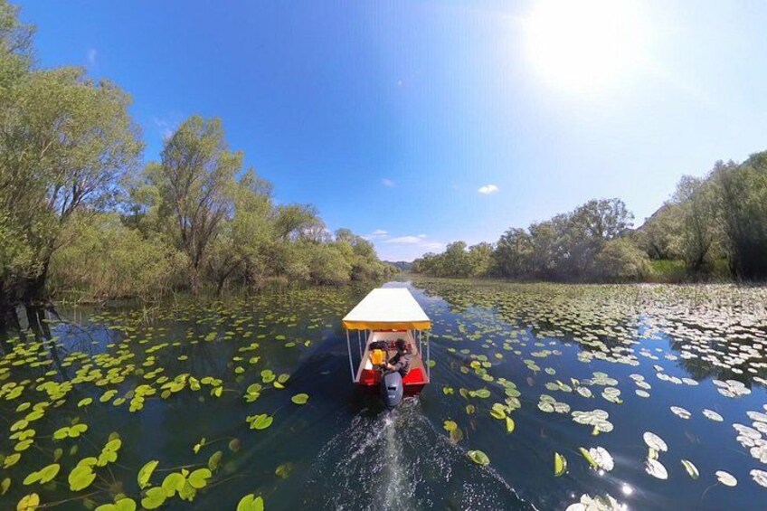 Virpazar Amazon Cruise and Panoramic Tour of Karuc 4