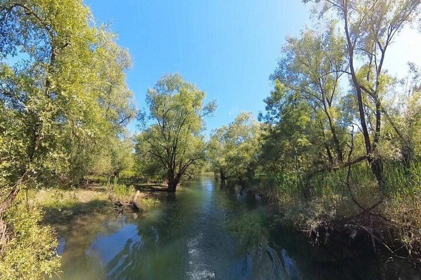 Une rivière paisible, bordée d’une végétation luxuriante et d’arbres. 5