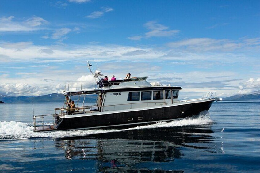 A boat with passengers, moving through calm waters with a clear sky and distant mountains. 5