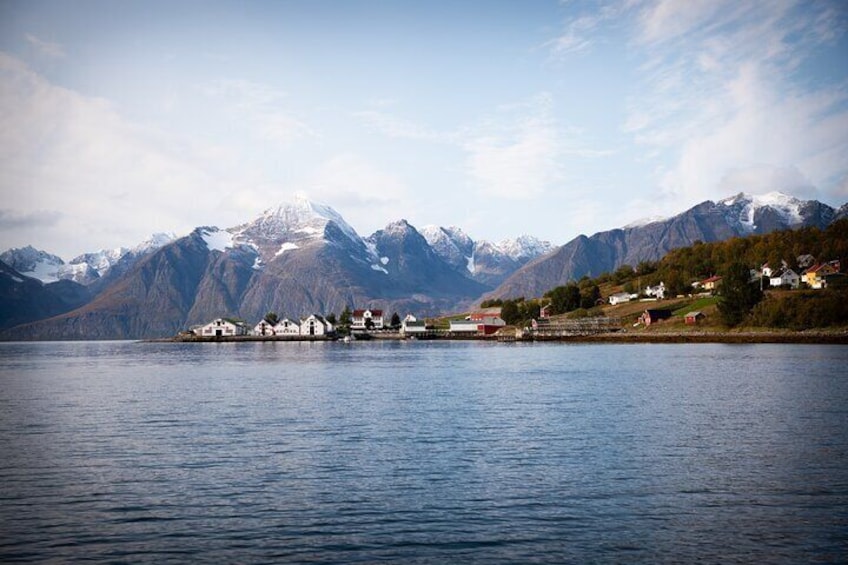 A calm lake with houses on the shore and snow-capped mountains in the background. 1