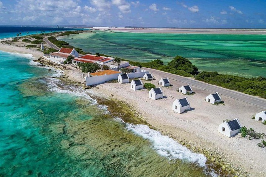 Bonaire's Best Day: History, Flamingos, Salt Flats & Beach 2