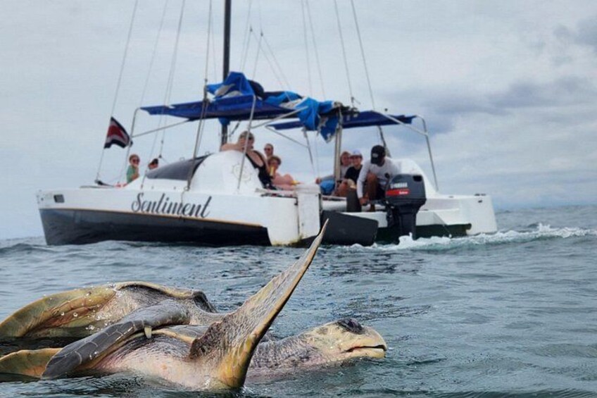Private Tropical Catamaran Adventure 2