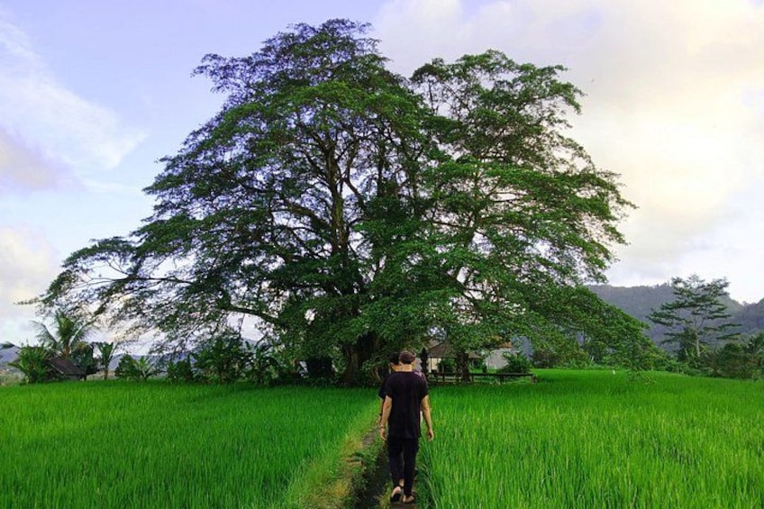The hidden beauty of Sidemen is best revealed on foot — slow down and enjoy. 1