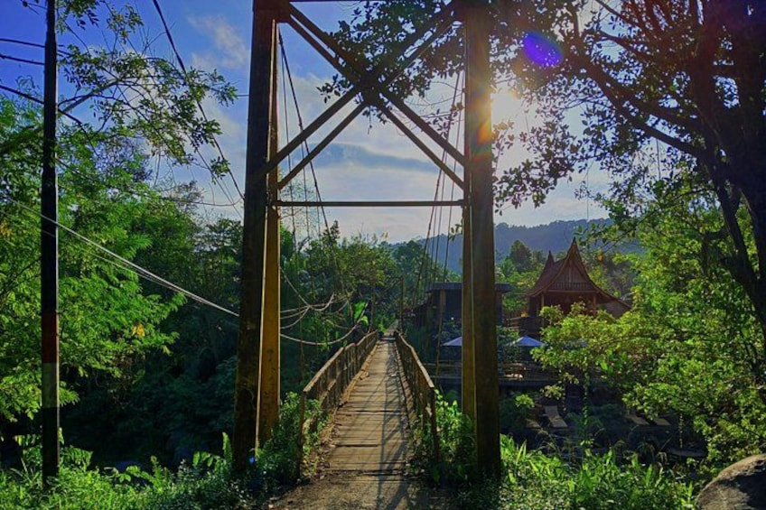 Discover the breathtaking beauty of Sidemen 5