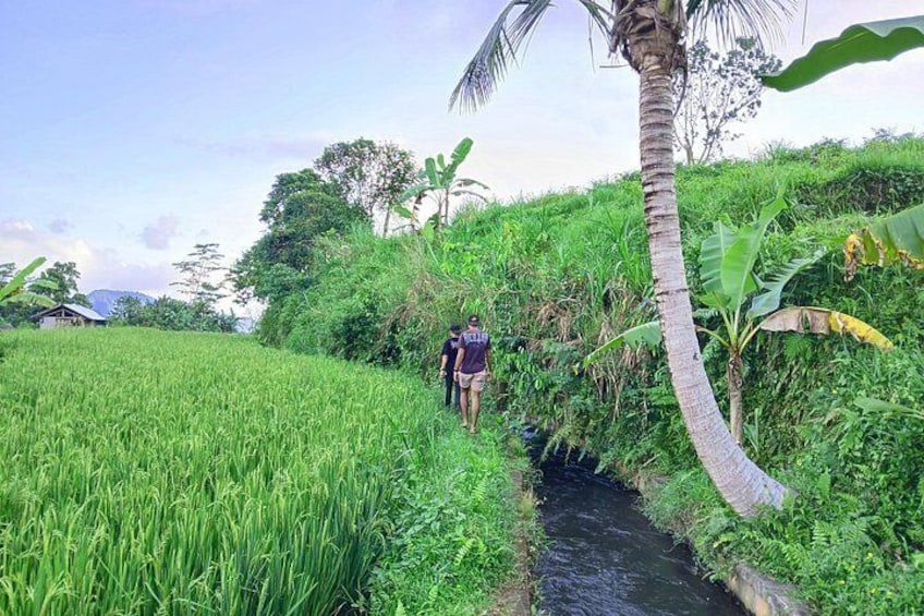 Sidemen’s emerald rice fields look like a painting come to life. 3