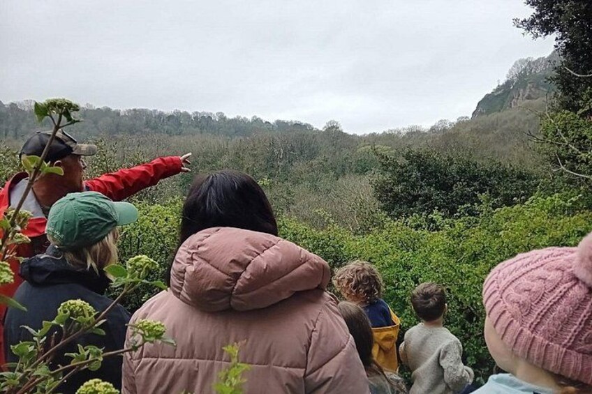 A group of people observing a natural landscape with dense vegetation and hills in the background. 4