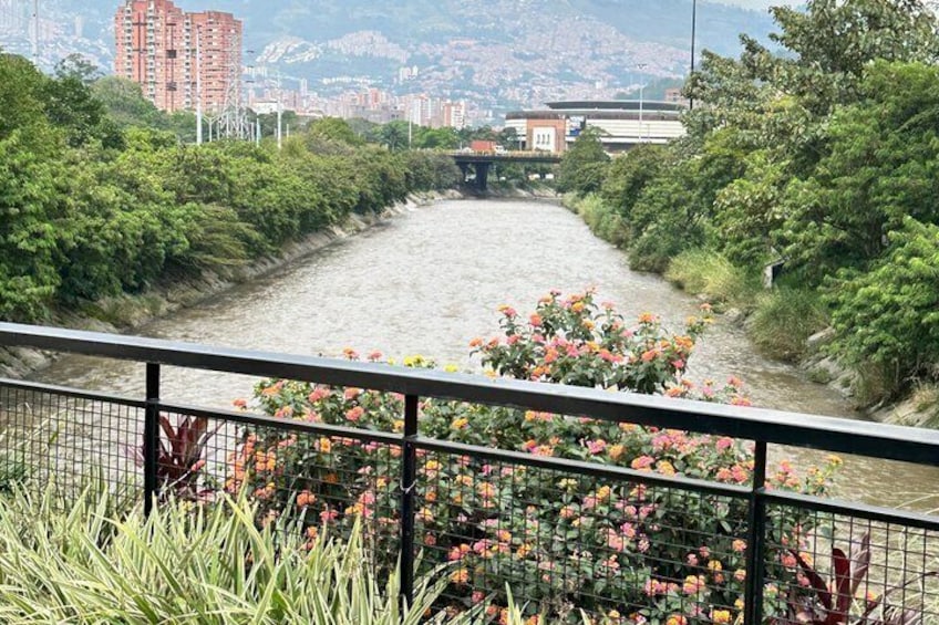 A river with a bridge in the background, surrounded by greenery and flowers. 3