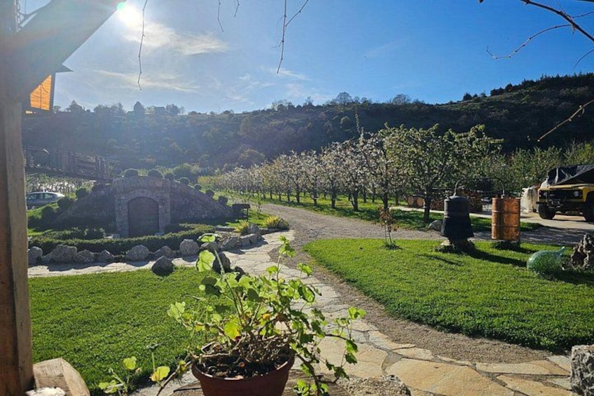 Rakija Distillery Guided Tour and Tasting 3