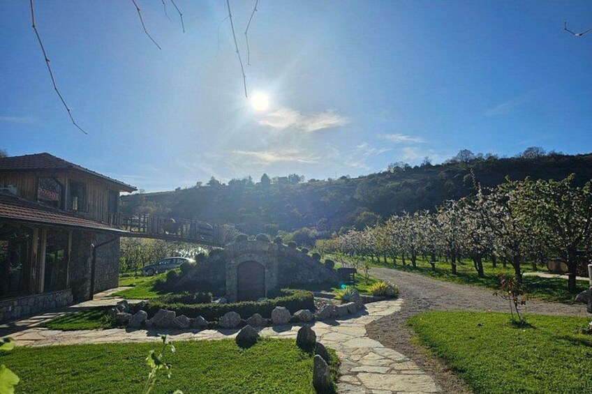 Rakija Distillery Guided Tour and Tasting 1