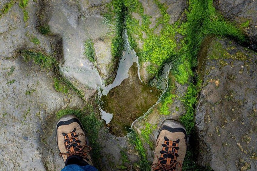 A pair of hiking boots on a moss-covered rock surface with a small stream. 2