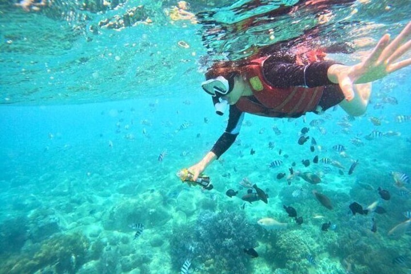 Nha Trang Mun Island Snorkeling & Coral Reef Tour with BBQ Lunch
5