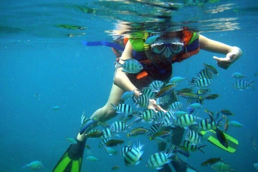 Nha Trang Mun Island Snorkeling & Coral Reef Tour with BBQ Lunch
1