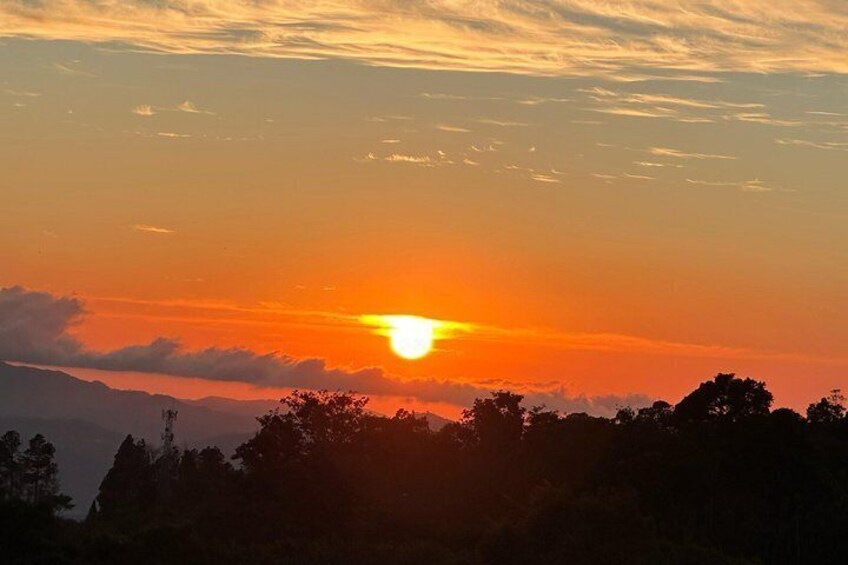Un atardecer con el sol cerca del horizonte, árboles silueteados y una cordillera en el fondo. 3