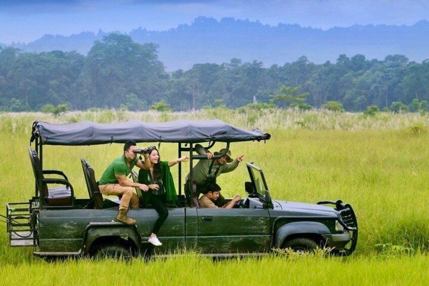 A safari vehicle with a canopy, passengers, and a bird on the roof. 3