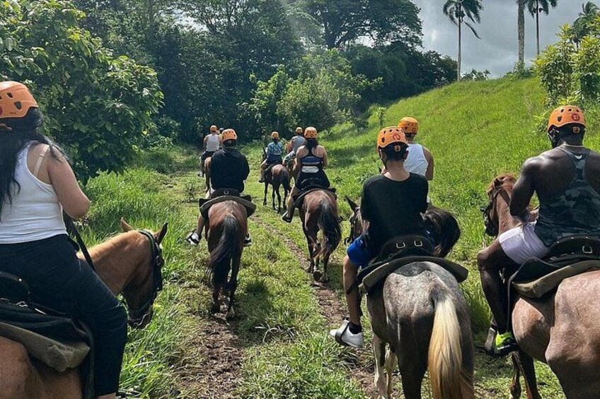 A group of people riding horses on a grassy trail surrounded by greenery. 5