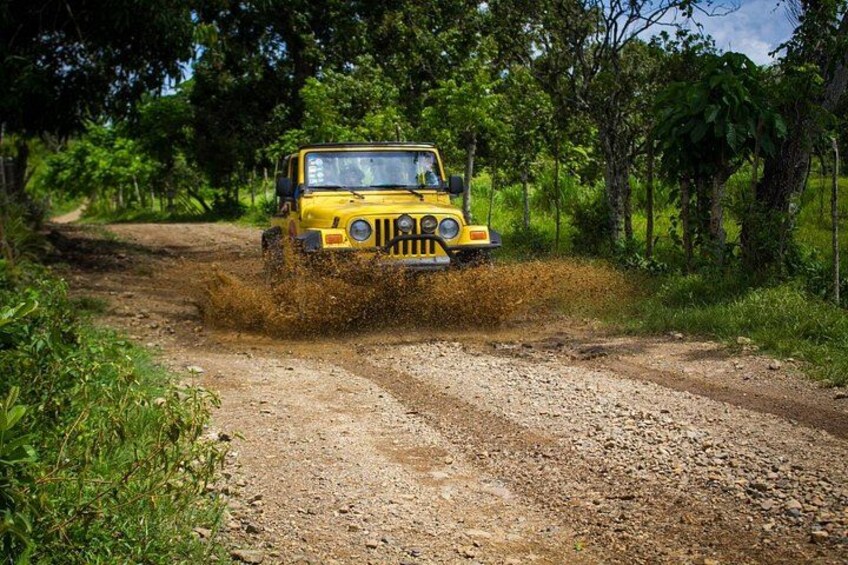A yellow off-road vehicle driving on a dirt road surrounded by greenery. 1