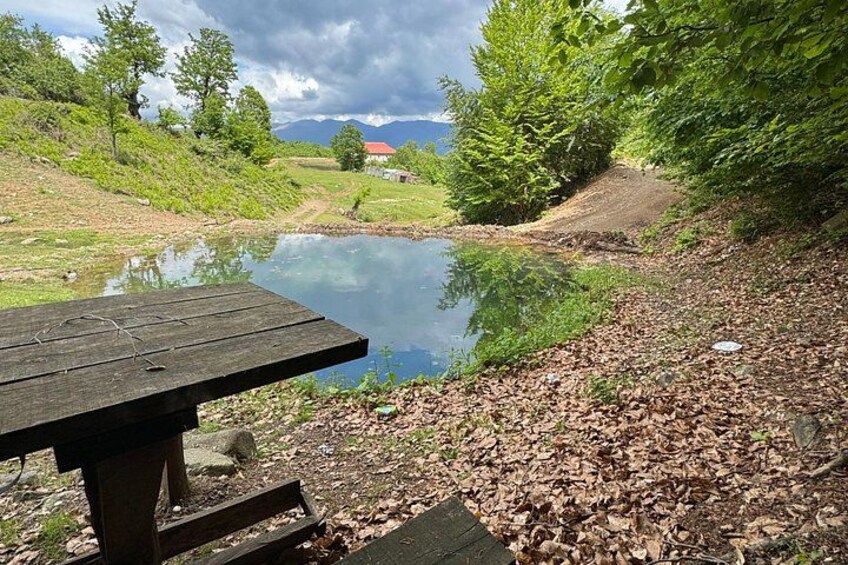 A picnic table by a calm lake surrounded by trees and a grassy area. 5