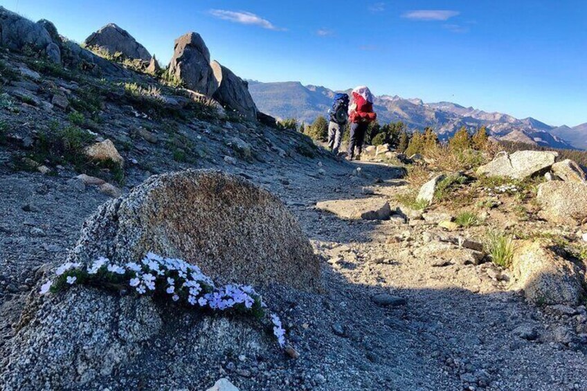 A rocky mountain landscape with hikers and a large boulder with white flowers. 3