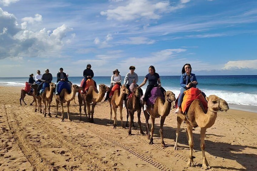 Cape Spartel & Hercules Caves 5-Hour Tour with Camel Ride 3