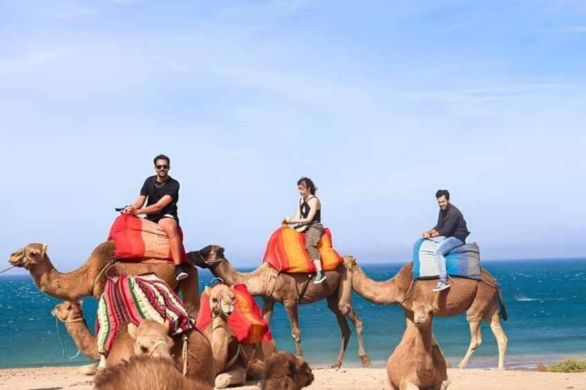 Cape Spartel & Hercules Caves 5-Hour Tour with Camel Ride 5