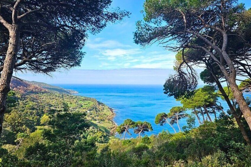 Cape Spartel & Hercules Caves 5-Hour Tour with Camel Ride 2