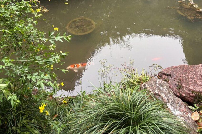 Authentic Hangzhou 2 Days Trip with a Local Guide 2