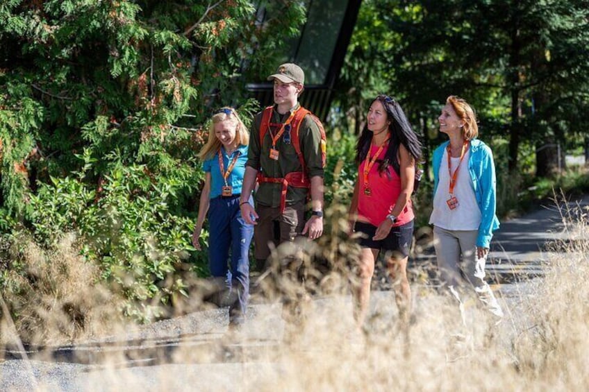 A group of people walking outdoors, some wearing vests and lanyards. 1