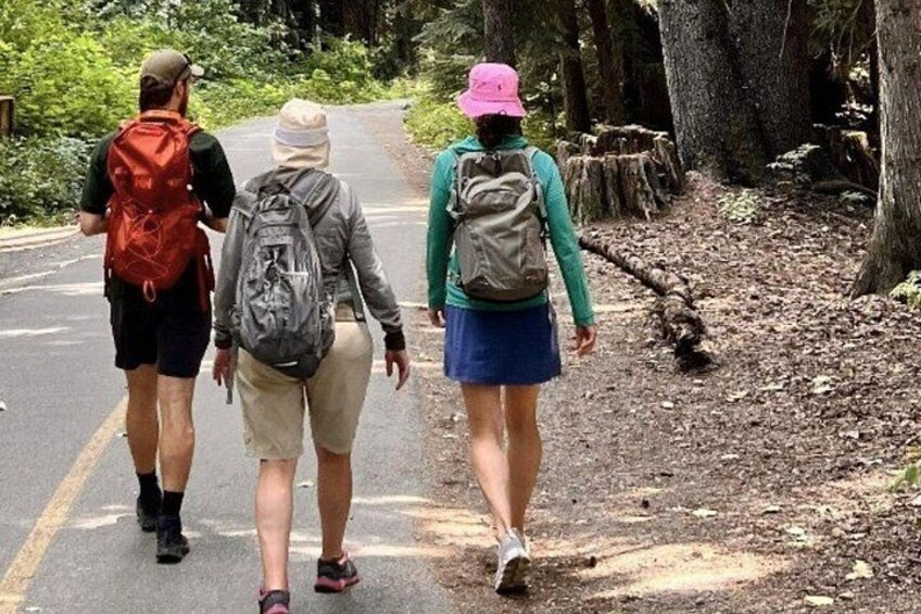 Nature Walk 5