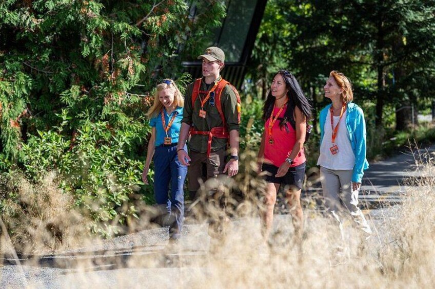 Un gruppo di persone cammina in una zona boschiva con alberi e un sentiero. 1