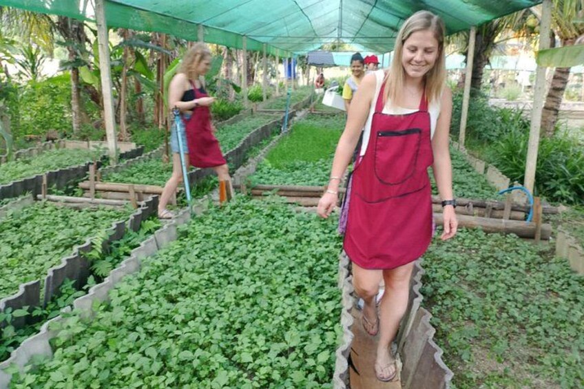 Chiang Rai: Lanna Home Cooking Class at Give Green Farm House 3