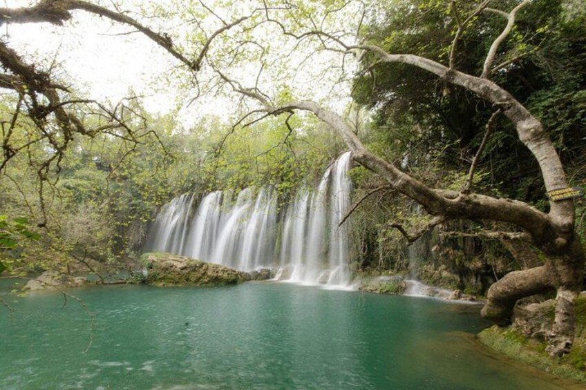 A waterfall cascading into a turquoise pool surrounded by dense green foliage. 2