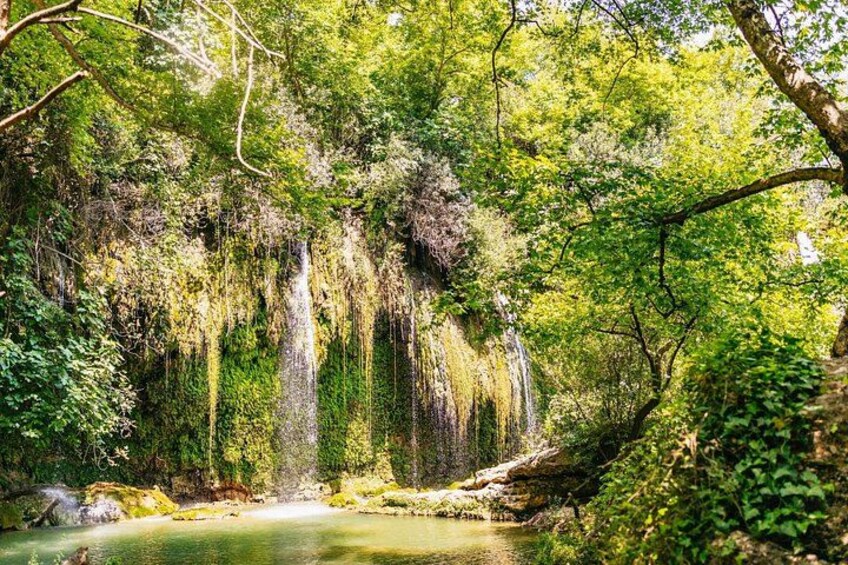 A waterfall surrounded by lush greenery and a calm river. 5
