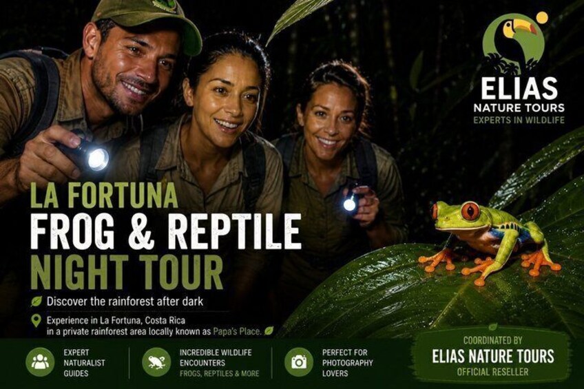 Night Tour of Frogs and Reptiles in Private Reserve 1
