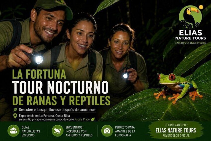 Night Tour of Frogs and Reptiles in Private Reserve 2