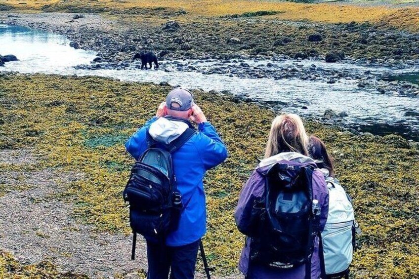 Exclusive Locations Private Bear Viewing 3