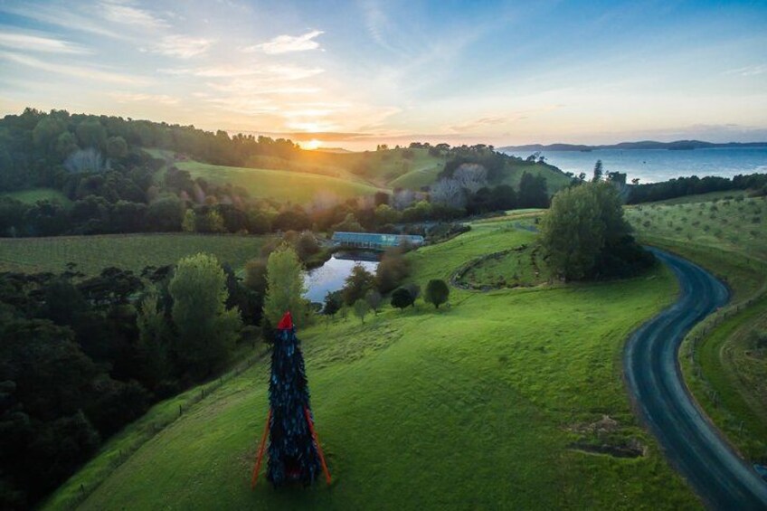 Matakana Explorer Tour 2
