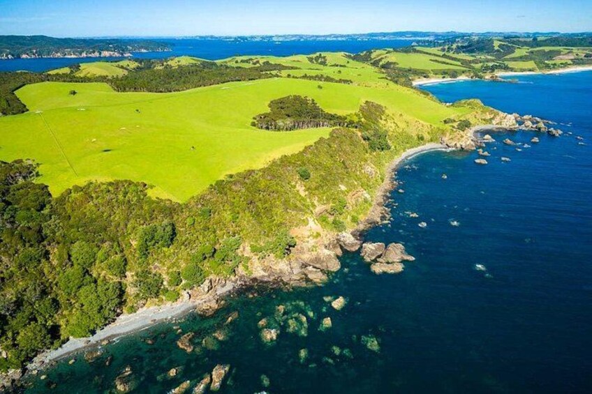 Tāwharanui Peninsula 1