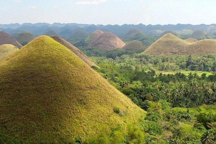 Chocolate Hills 2