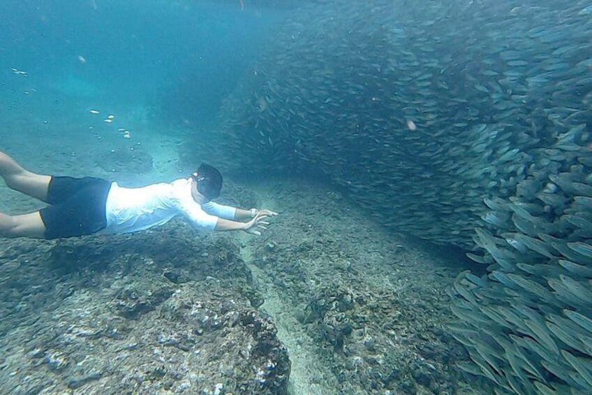 Napaling Sardines Run 3