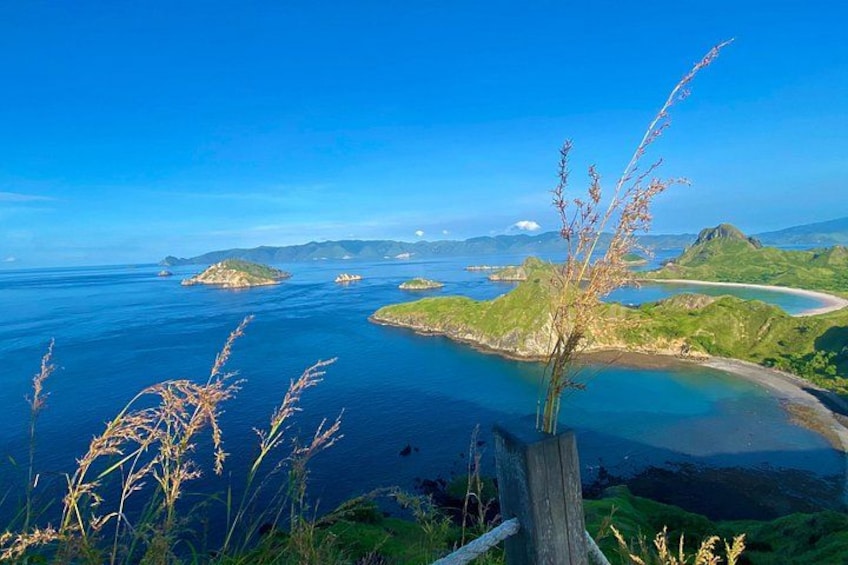 Small Group Komodo Fast Boat Tour with Padar Island & Pink Beach 3