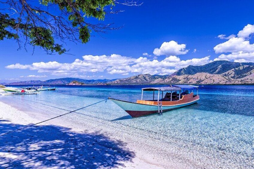 Small Group Komodo Fast Boat Tour with Padar Island & Pink Beach 3