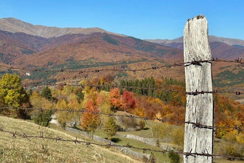 One-Day Off-Road Adventure in Baiului Mountains from Bucharest 4