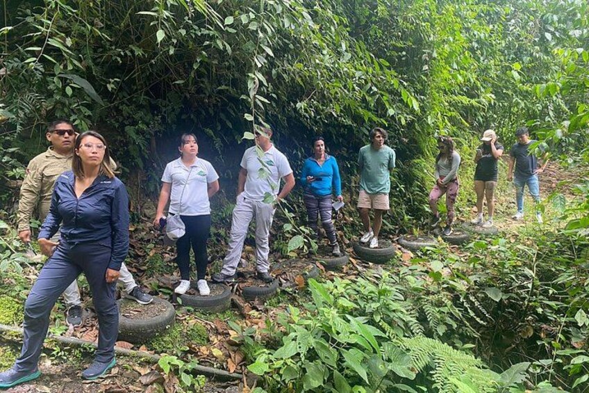 A group of people standing on tires in a forested area. 4