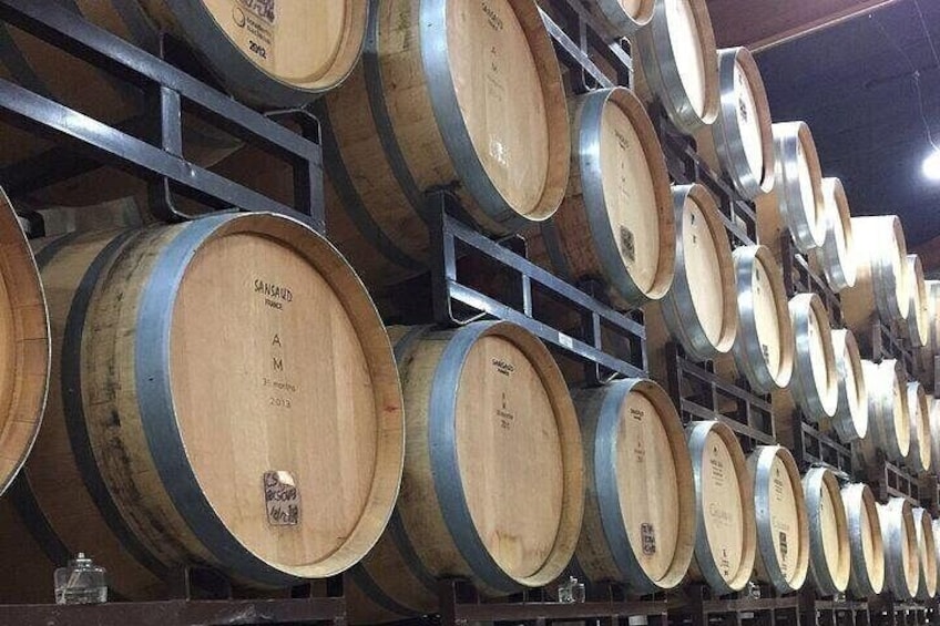 Private Temecula Wine Tour from San Juan Capistrano 2