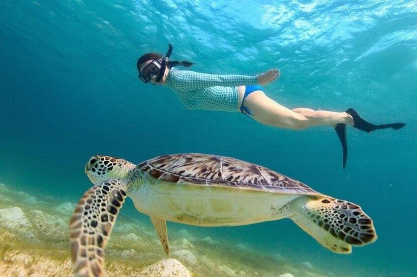 Deluxe Half-Day Snorkel Sail on Luxury Catamaran 3